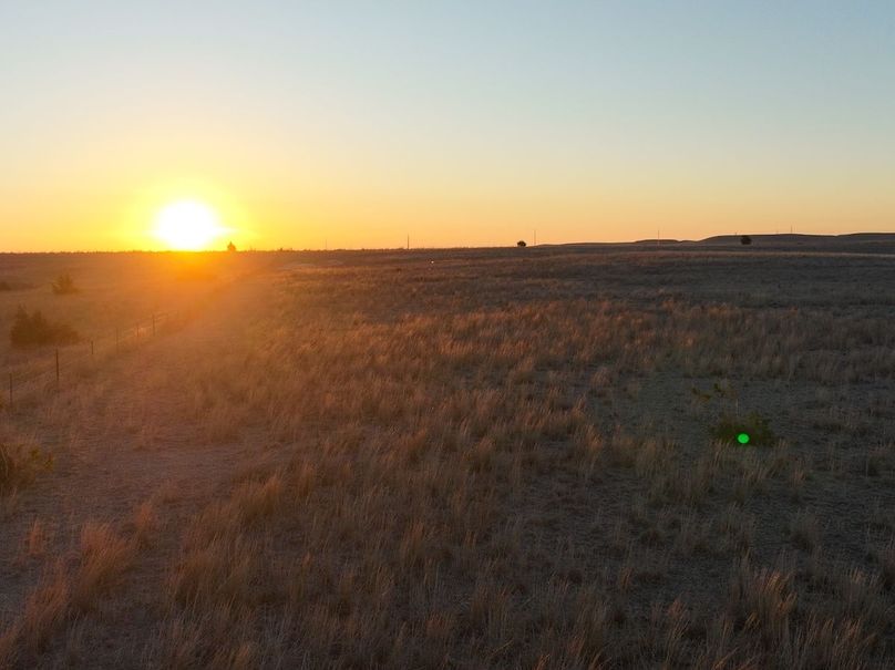 dji_fly_20240404_072642_888_1712233859378_photo