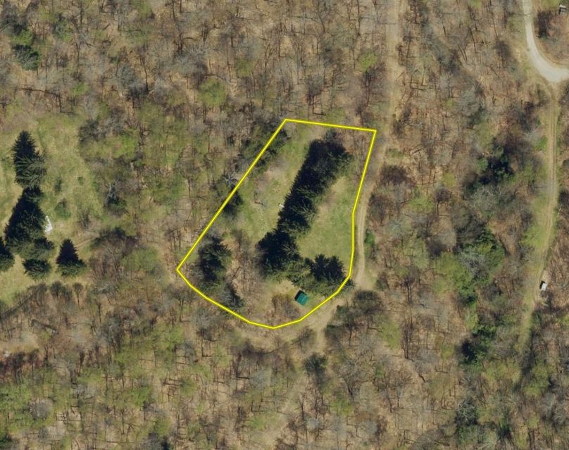 Screen Shot 2023-05-03 at 1.02.08 PM