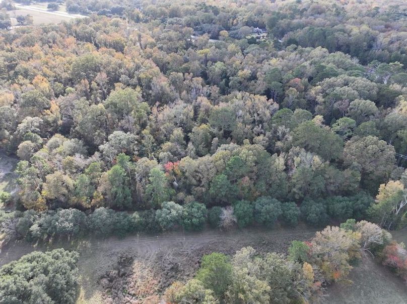 dji_fly_20251118_151456_0745_1763560713365_photo