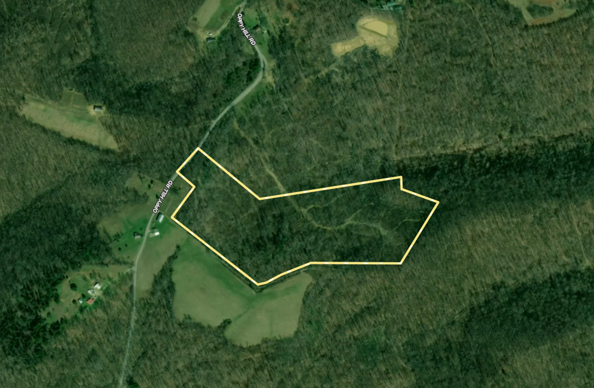 Screenshot 2025-08-25 at 1.34.41 PM