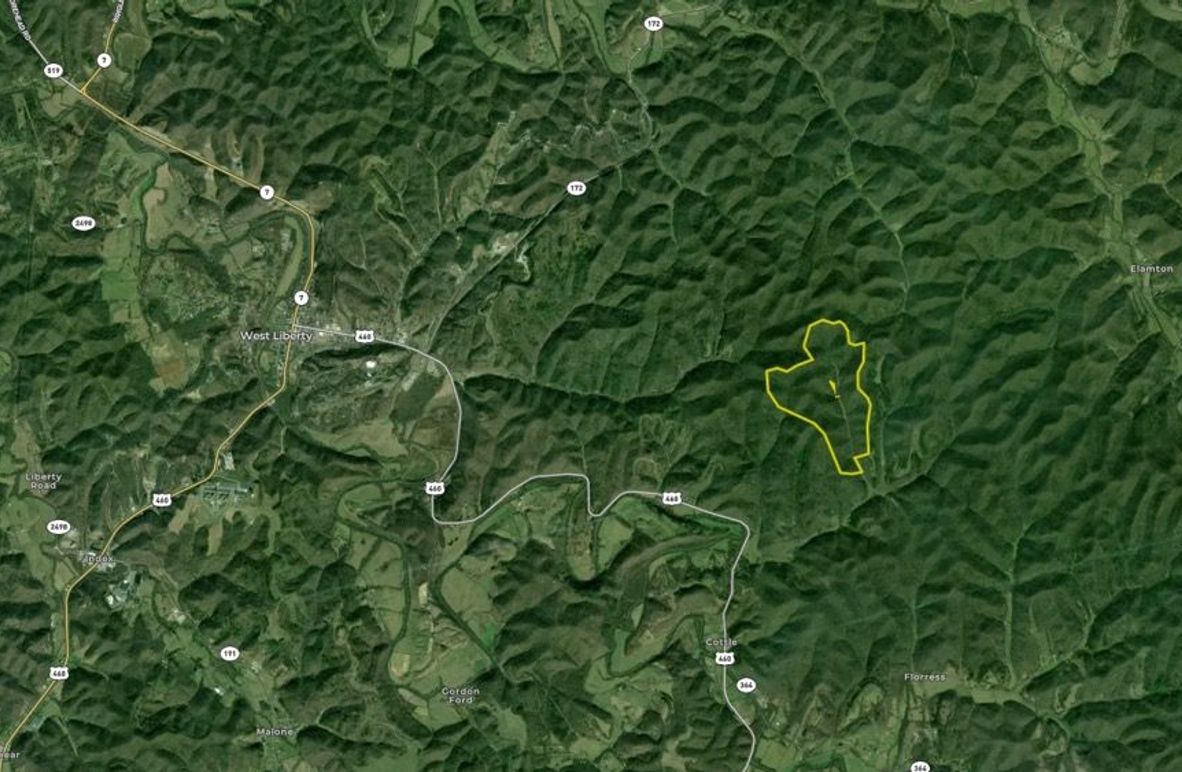 043 Morgan 275 Land ID zoomed out