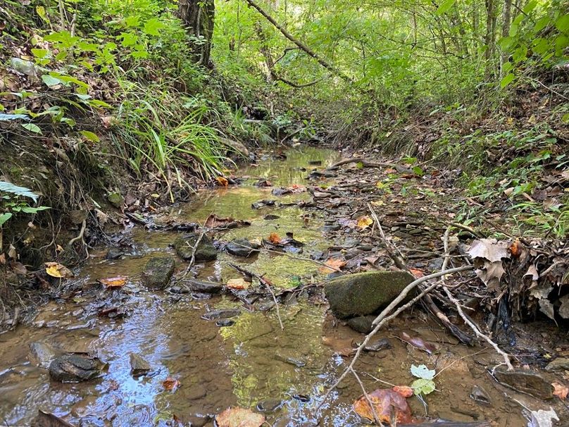 005 the blue line stream originating on the property copy