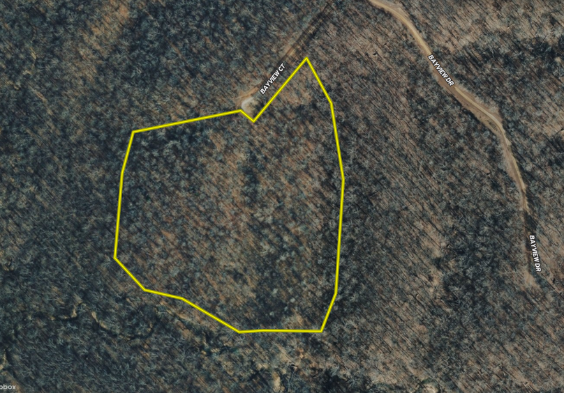 Screen Shot 2026-04-02 at 12.17.53 PM