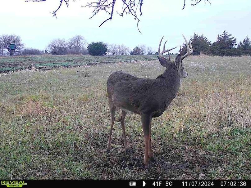 868032067092464-100-4-11072024070236-W1023660