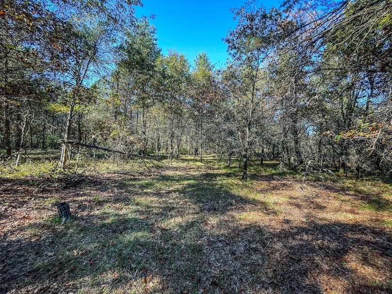 Juneau 27 Wiesner -062