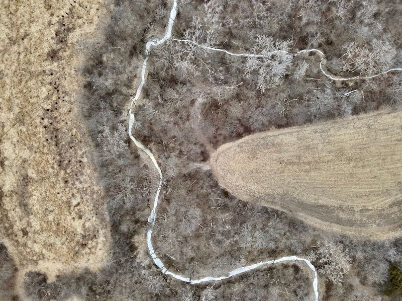 D5EA5C1-D7F3-409F-9050-39447834E97C_1_201_a