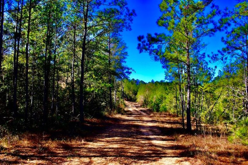 BB819512-9E44-4CA1-BBE6-132AB0B5EBC6_1_105_c