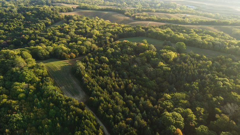 FREMONT CO. IA 158.32_56