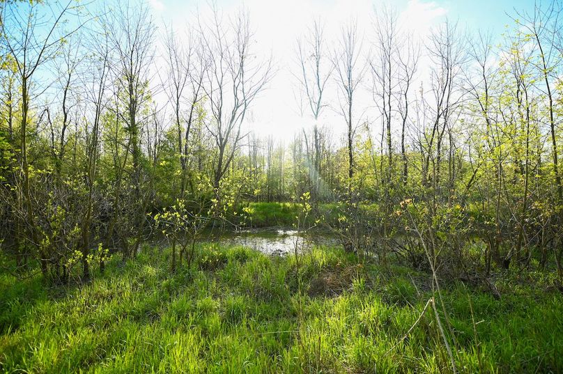 vandalia 450 (2)-3004