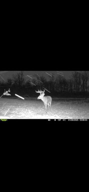 Screenshot 2026-02-27 at 4.11.30 PM