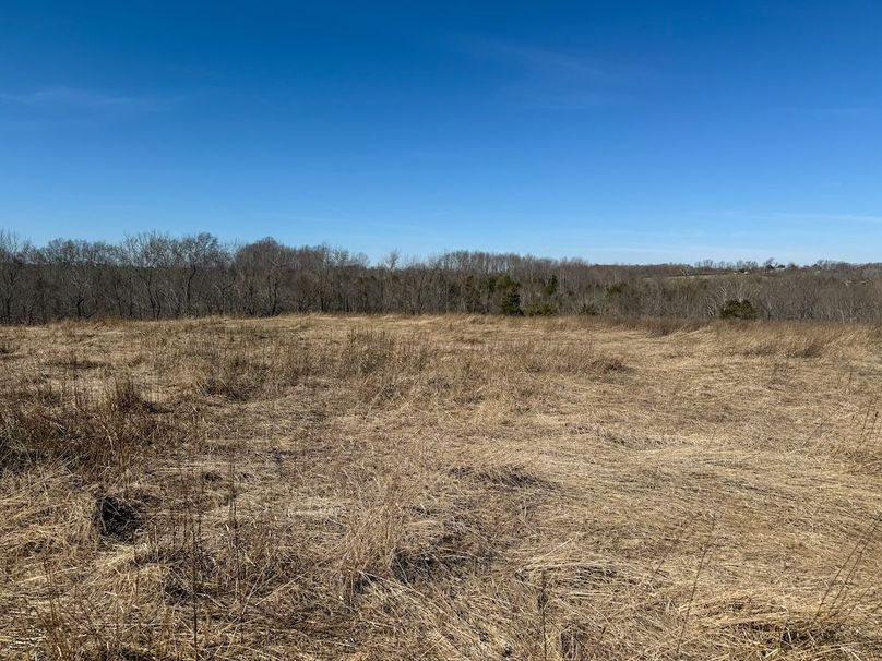 Fleming Petry 115-52