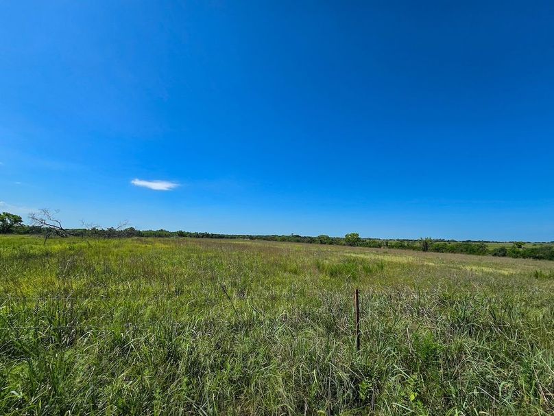 Copy of 20250729_110920