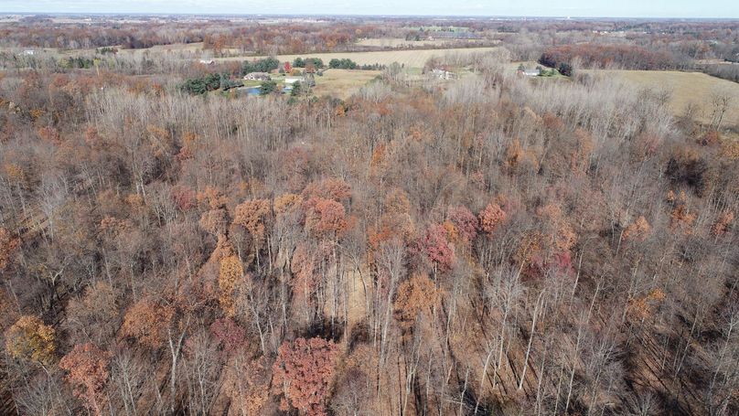 DJI_0025