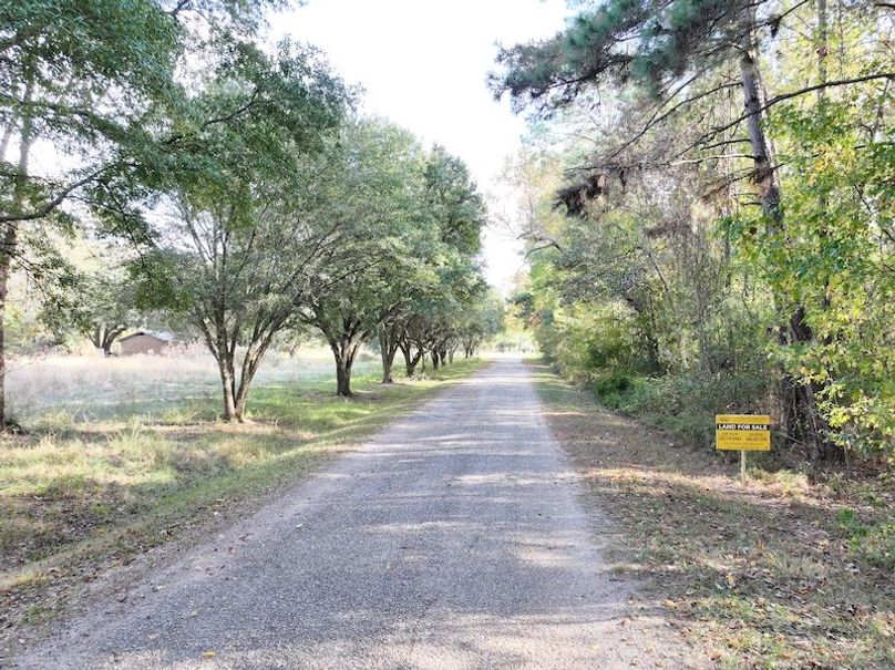 dji_fly_20251118_150914_0736_1763560716467_photo