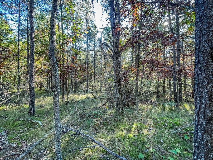 Juneau 27 Wiesner -084