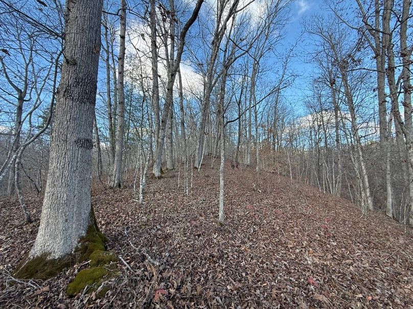 003 ascending up the hill at the south area of the property