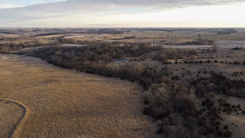 MONTGOMERY CO IA 156.78_37