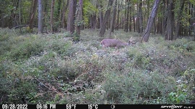 482C21D7-DBDE-4BAA-8CFE-CBFDFC8BB639