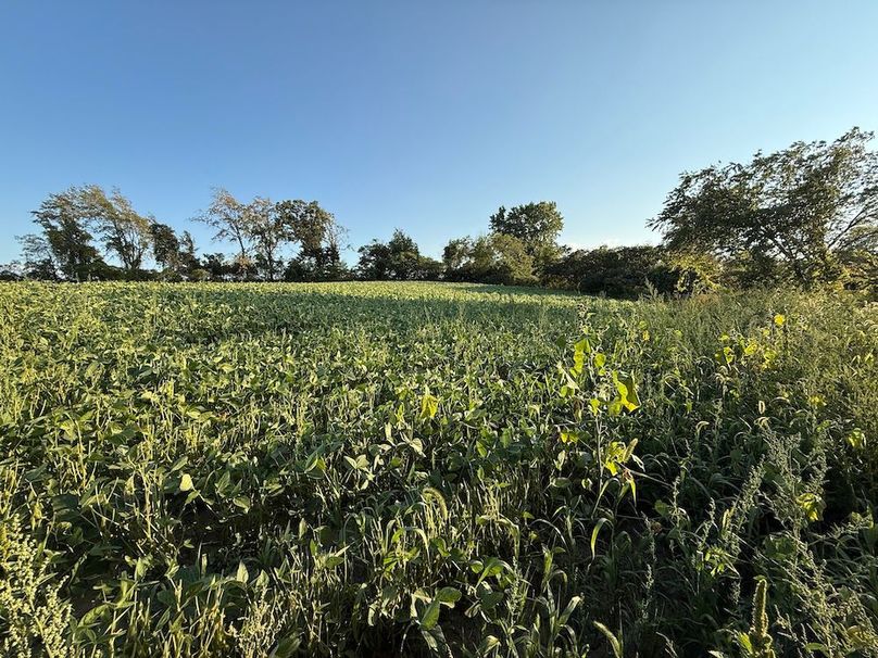 Copy of Wood Tract 6 Photo 6