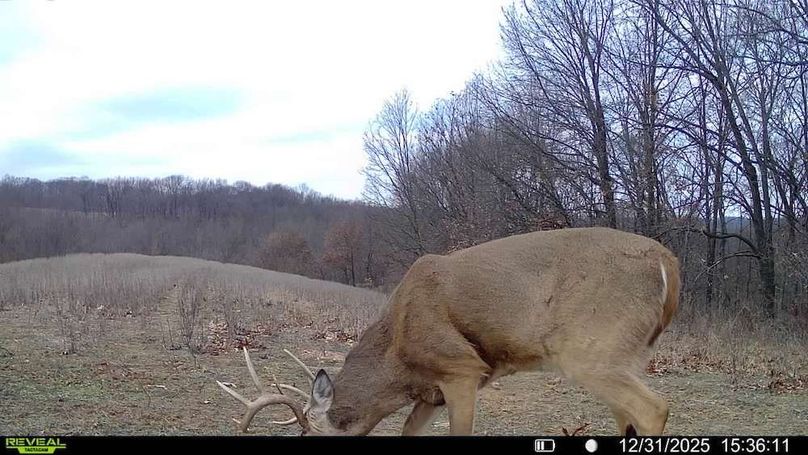 016578002606256-33-4-12312025153611-V-SYFW08179 2