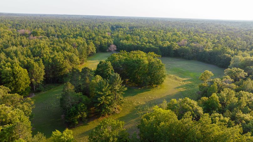 Ogemaw MI 475 Featured Pro Photo-0087