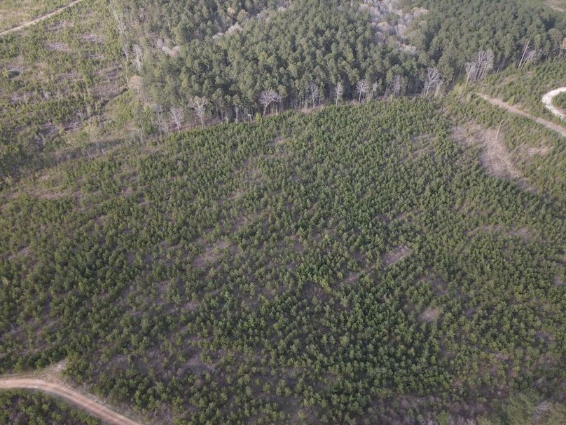 DJI_0097