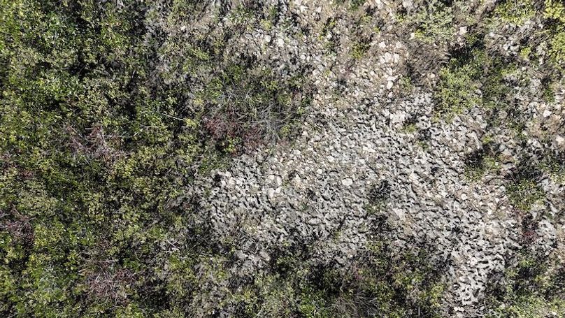 17.17ac, Citrus, Josiah Ronco58