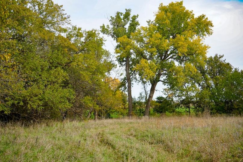 Dickinson Co, 154.5_065