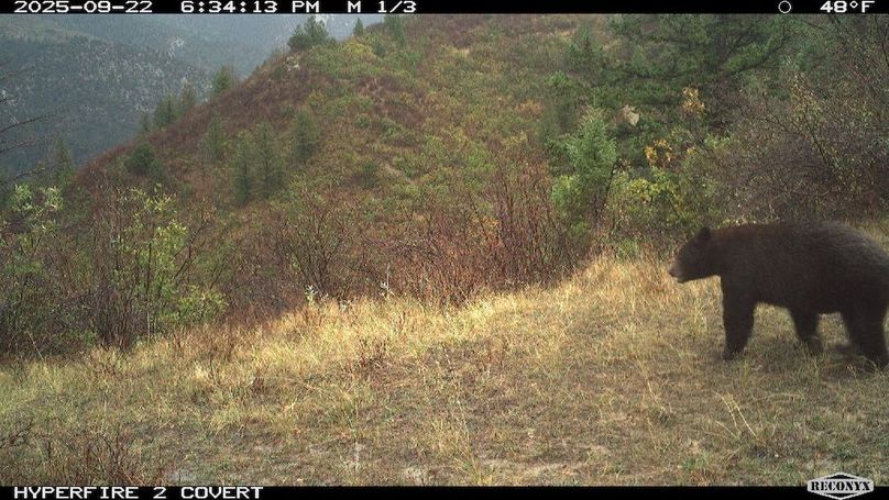 47031EE7-B518-49C1-9782-E4BFDFF1DA27