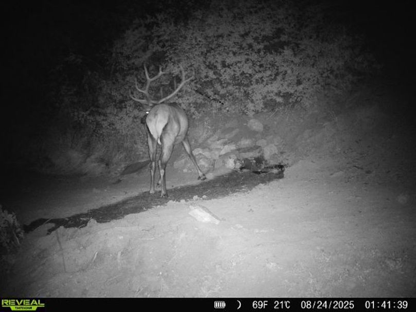 860516063676799-100-3-08242025014138-V-W1000221