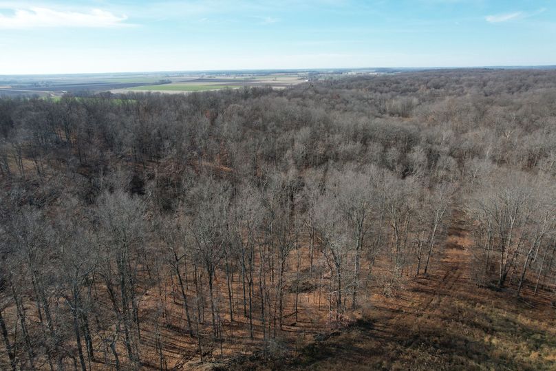 DJI_0390