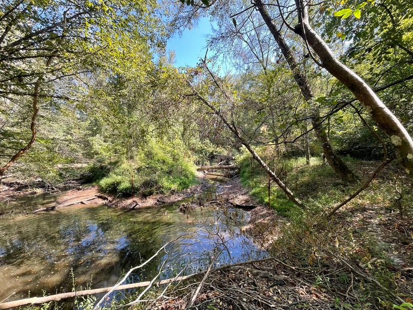 F77B17A1-15E6-4ECC-AE90-564C3A0CBA23_1_105_c