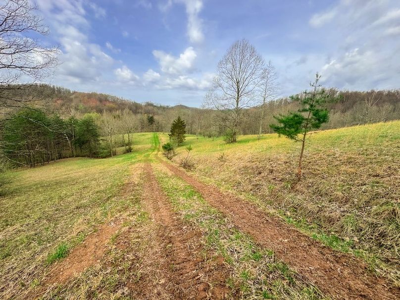 Ritchie, WV 206.08 AC Curriden-64