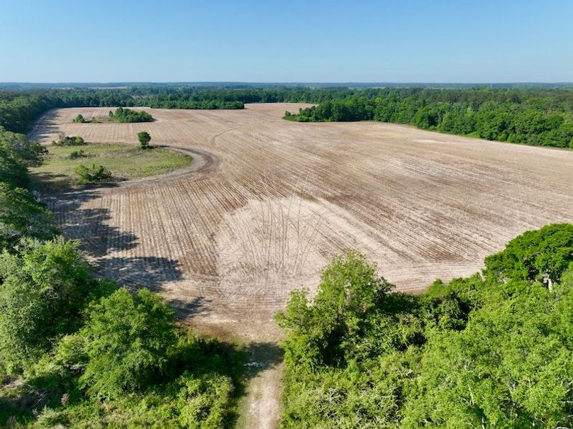 dji_fly_20260424_094632_563_1777039426881_photo