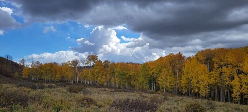 Copy of 20231011_114932