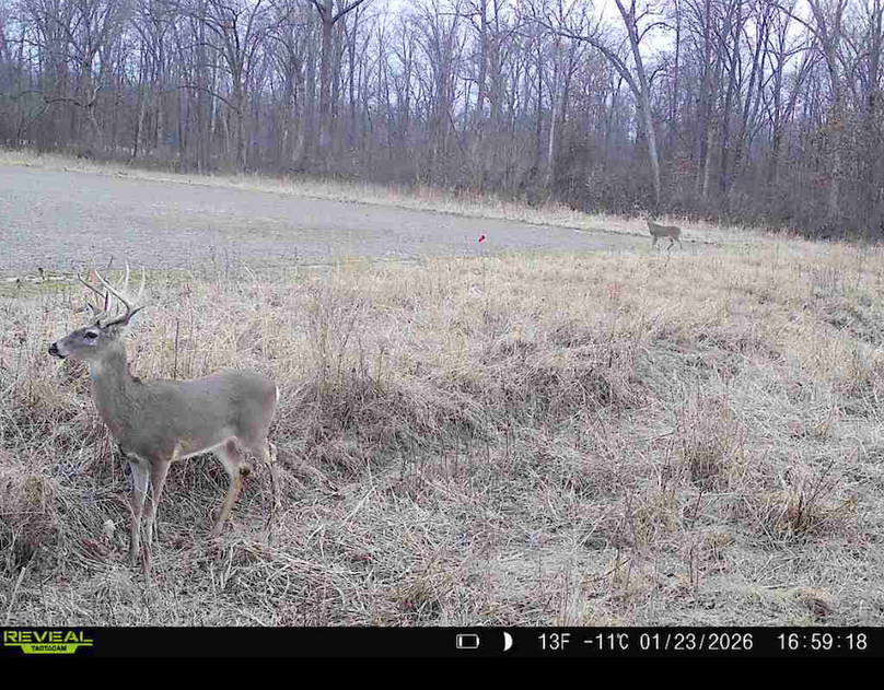 Screenshot 2026-04-09 at 12.52.54 PM