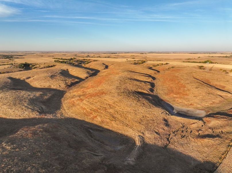 Copy of 5 Western Sky Farms, LLC-08