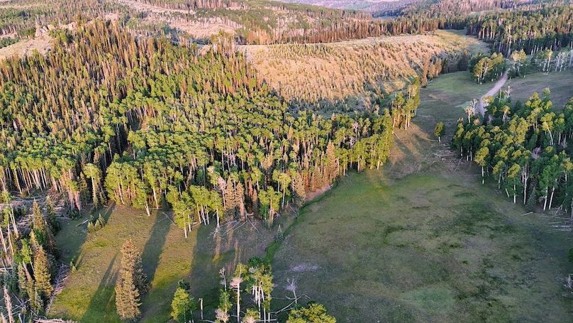 DJI_20250628063116_0125_D