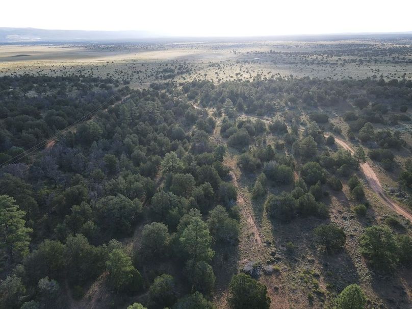 dji_fly_20240816_074310_499_1723815868872_photo