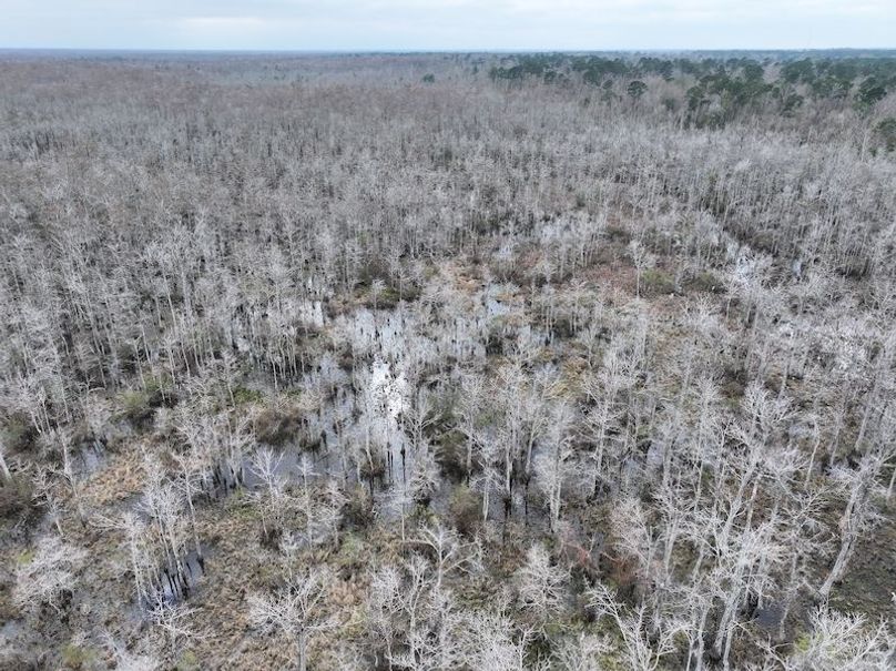 dji_fly_20260123_134246_0969_1769444762813_photo