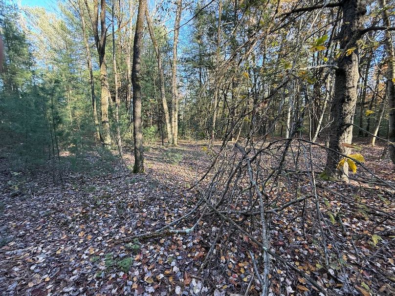 Oswego_26.28_Koehler Photo 32