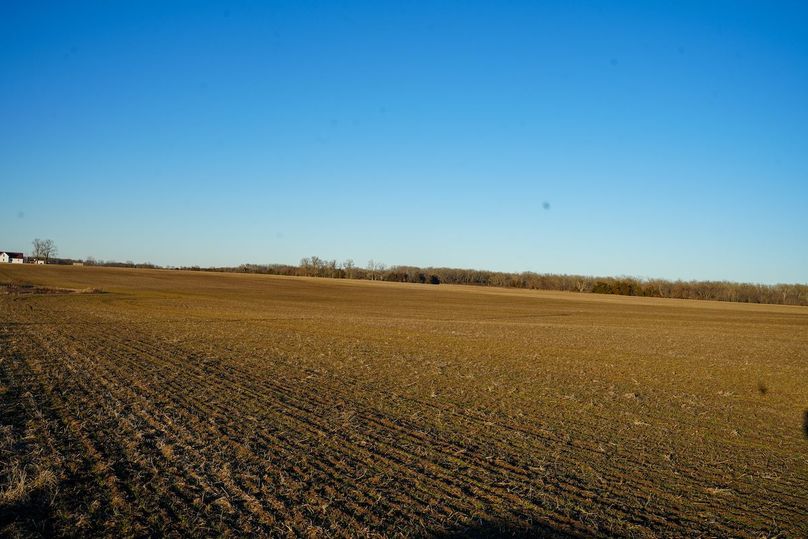 DSC02454bluestem