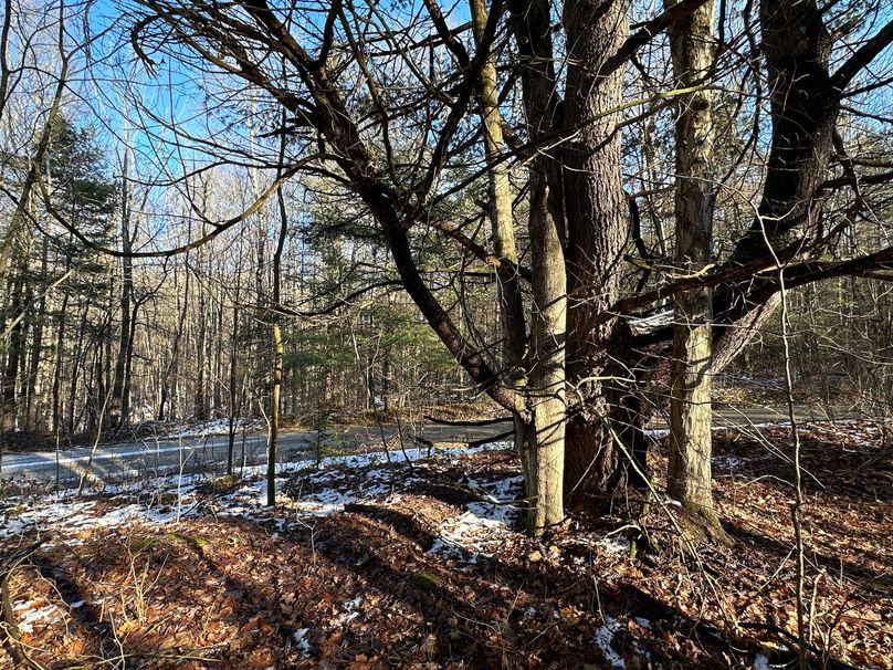 Acreage Near Multiple State Forests Whitetail Properties