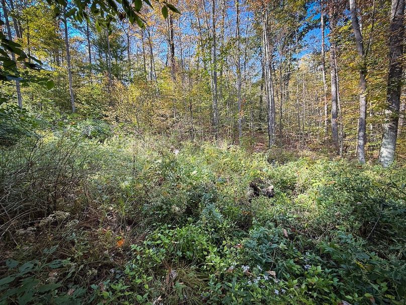 Tompkins NY 87 Allen Photos 31