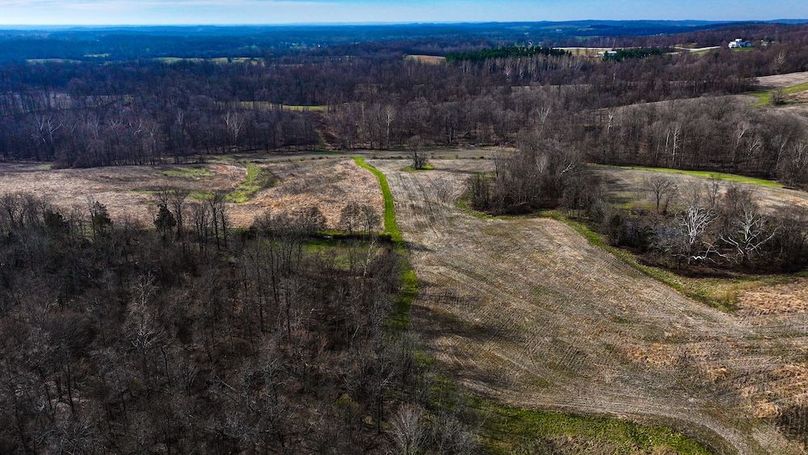 dji_fly_20260321_101058_0022_1774103522683_photo