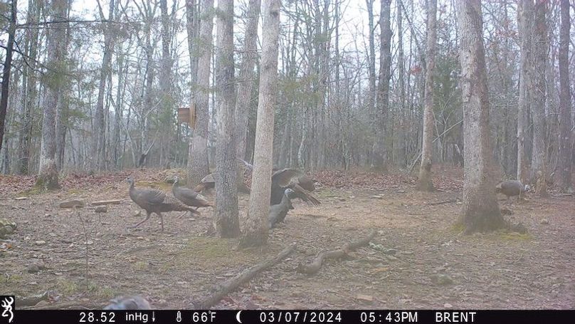 9C888137-5D7B-4604-B2BE-6DD19D935702