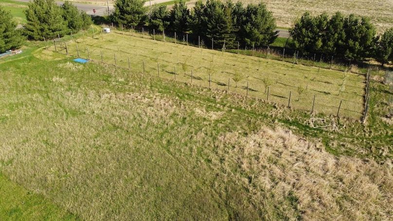 DJI_0266