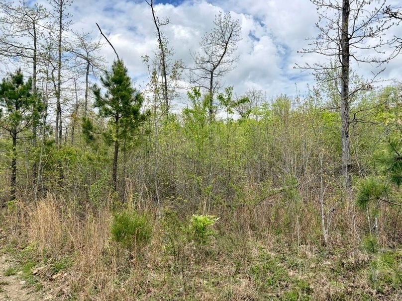 456FE795-8EDB-488E-A987-26AE0445CB2F_1_105_c-2