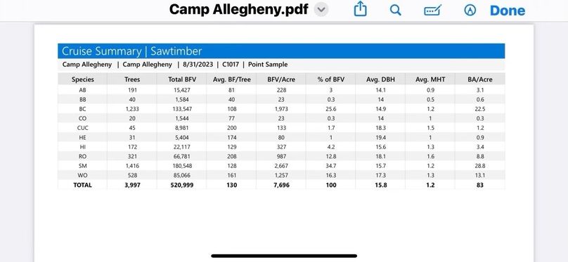 Camp Allegheny International Scale