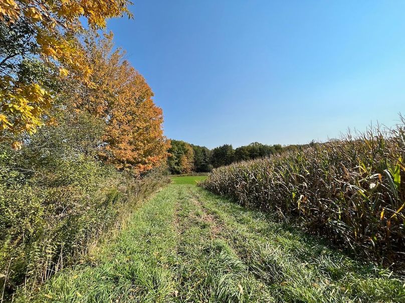 Yates_29_Stape Photo 33